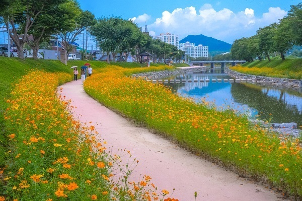 순창 양지천, 사계절 꽃길 품은 관광 명소로 발돋움