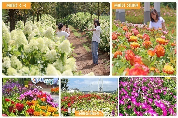 옥정호 붕어섬 생태공원, 초여름 꽃정원